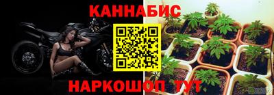 a pvp Донецк